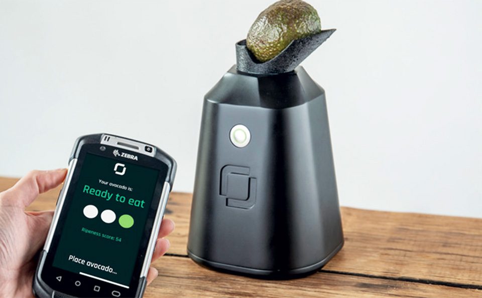 Avocado
