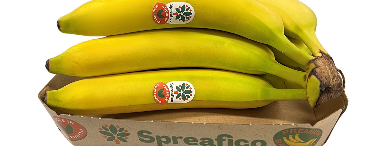 Spreafico
