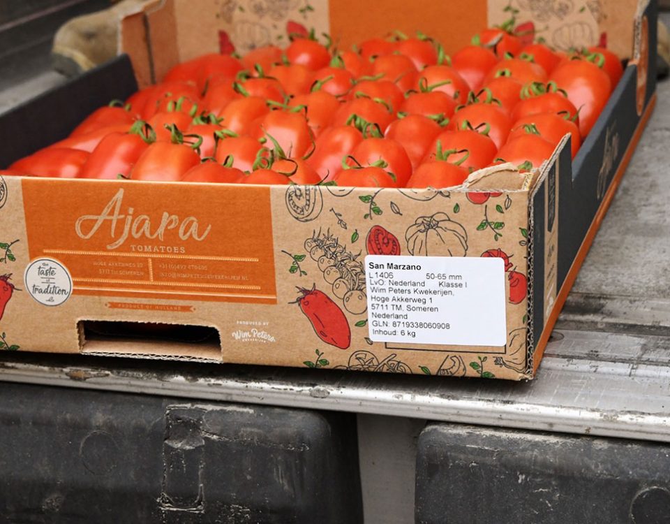 Coldiretti-Pomodoro-San-Marzano-olandese-09.04.24
