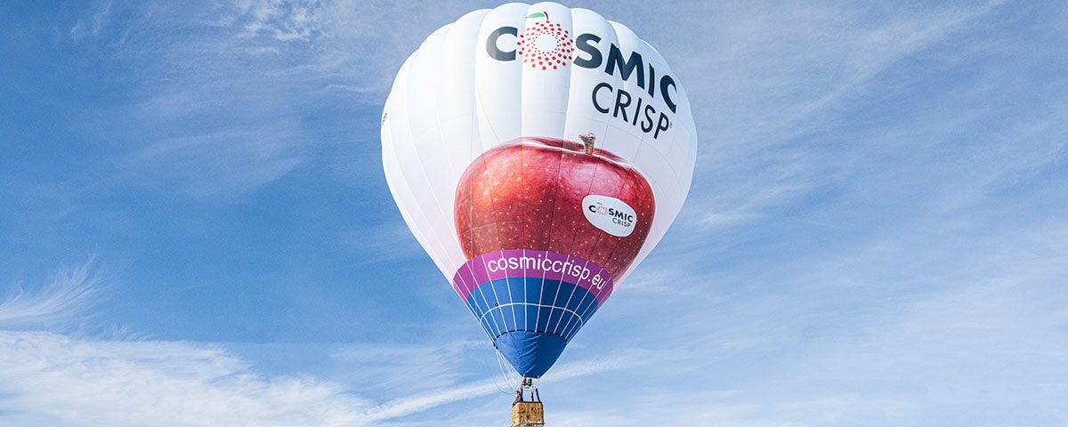 Cosmic Crisp