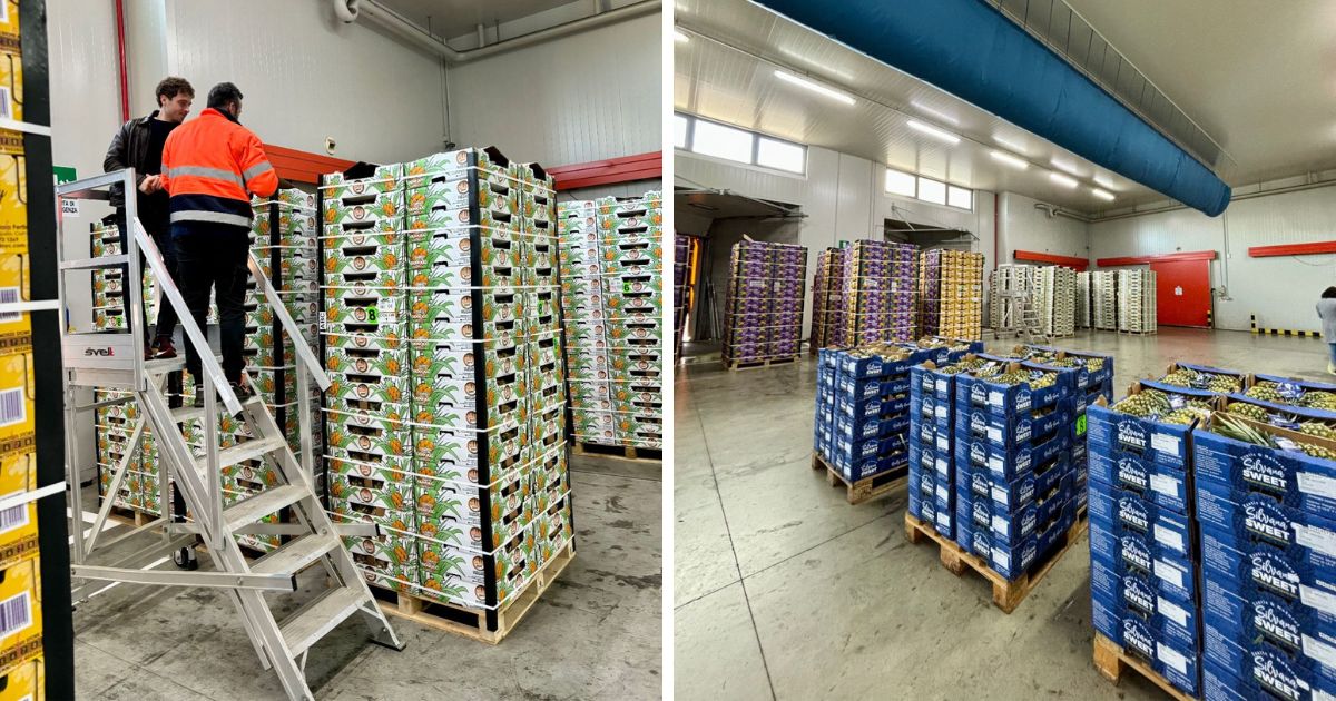 Alimentari Ortofrutticoli Abc Spa nuovo centro