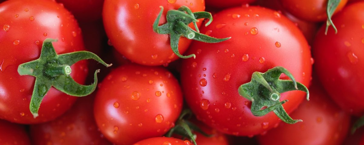 Pomodori-ciliegino