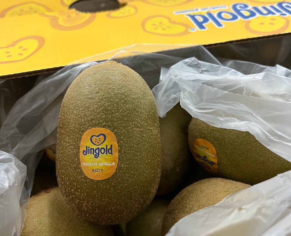 Jingold kiwi sudafricano