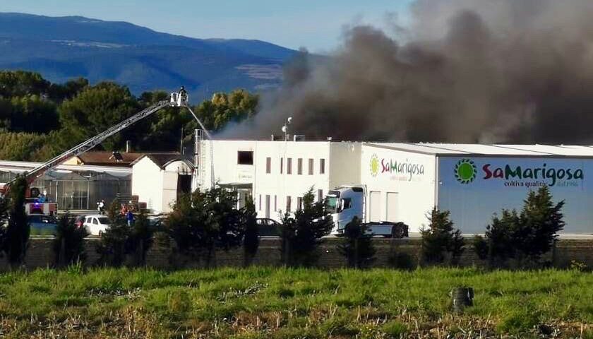 Sa Marigosa incendio