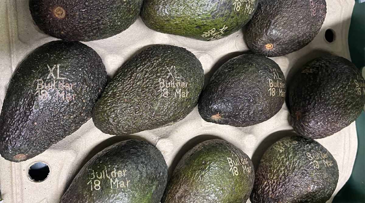 etichetta laser avocado Westfalia