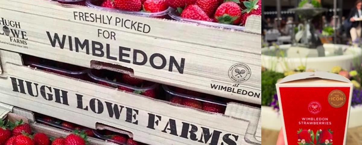 Fragole Wimbledon