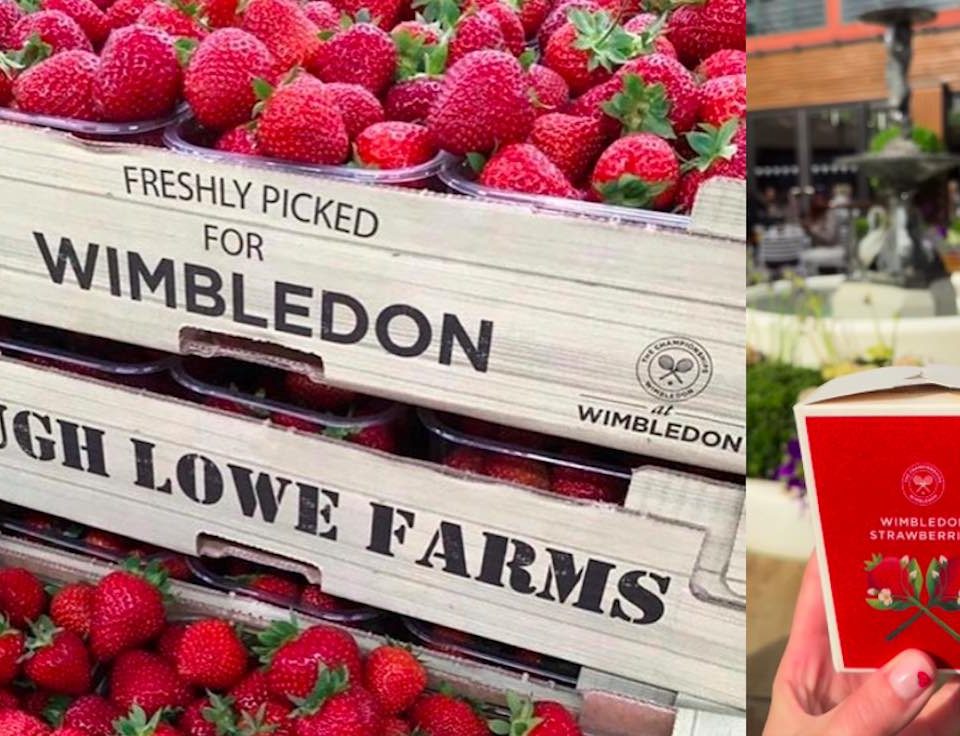 Fragole Wimbledon