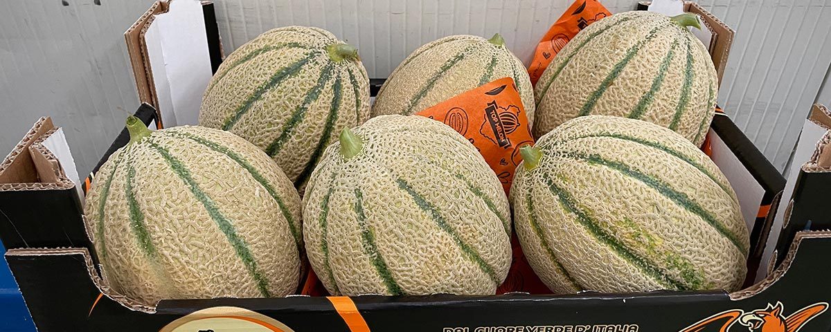 Melone-Impero-Bayer-Top-Melon