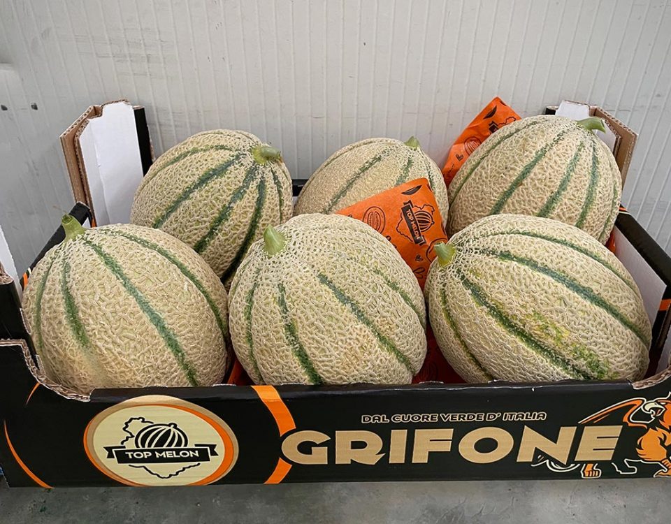 Melone-Impero-Bayer-Top-Melon