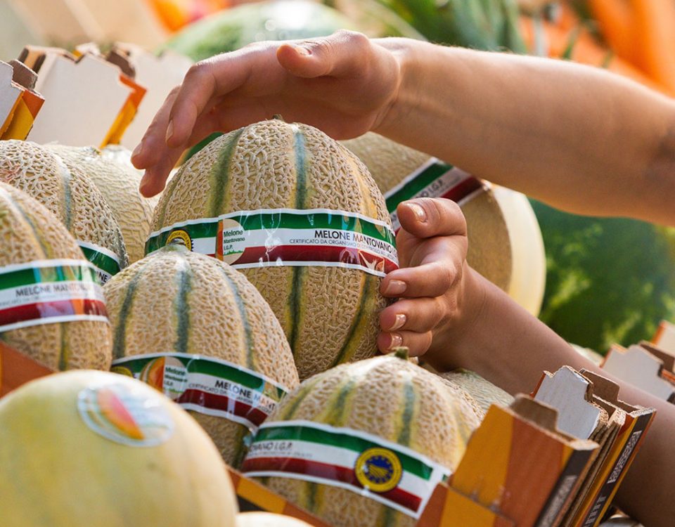 Melone-Mantovano_Igp-2024