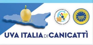 Uva da Tavola di Canicattì Igp