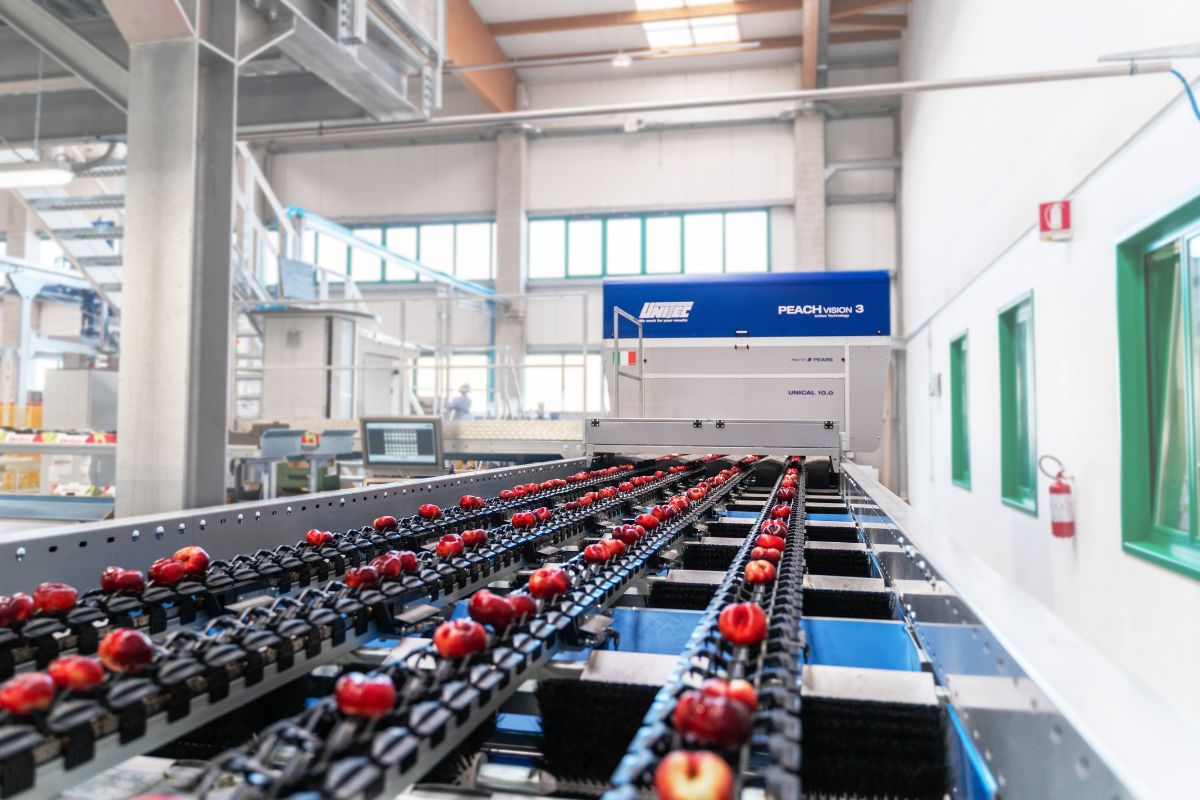 Unitec impianto Agrintesa