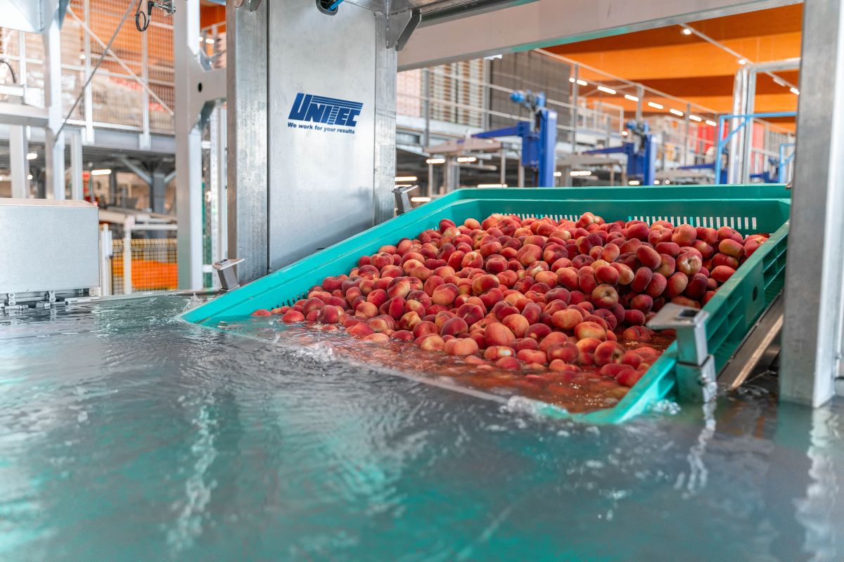 Unitec impianto Agrintesa