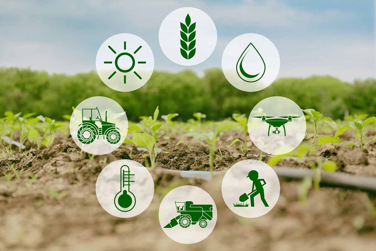 AgriFood Future 2024