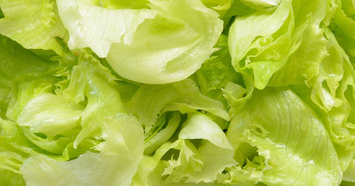 Insalata listeria