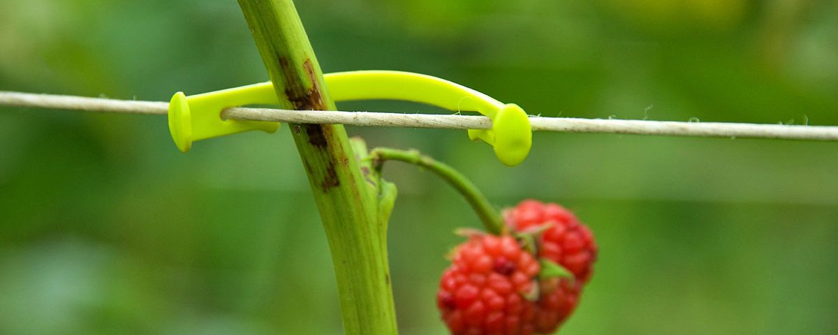 Zeropack_clip_ortofrutta