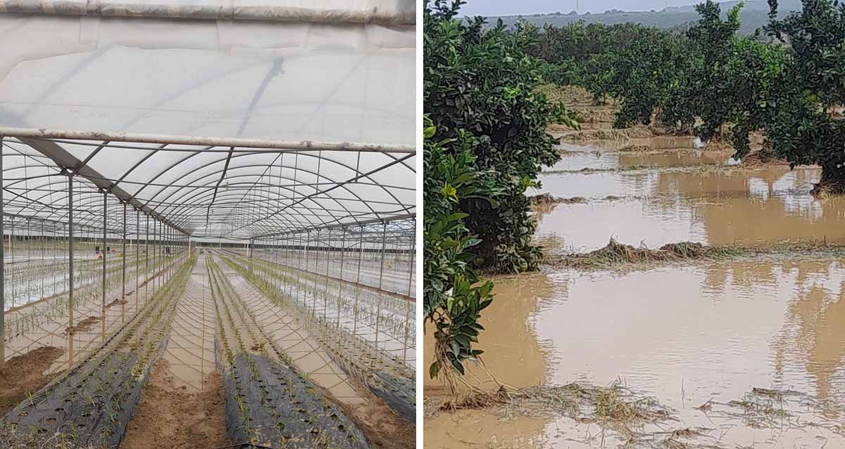 danni piogge alluvione Calabria