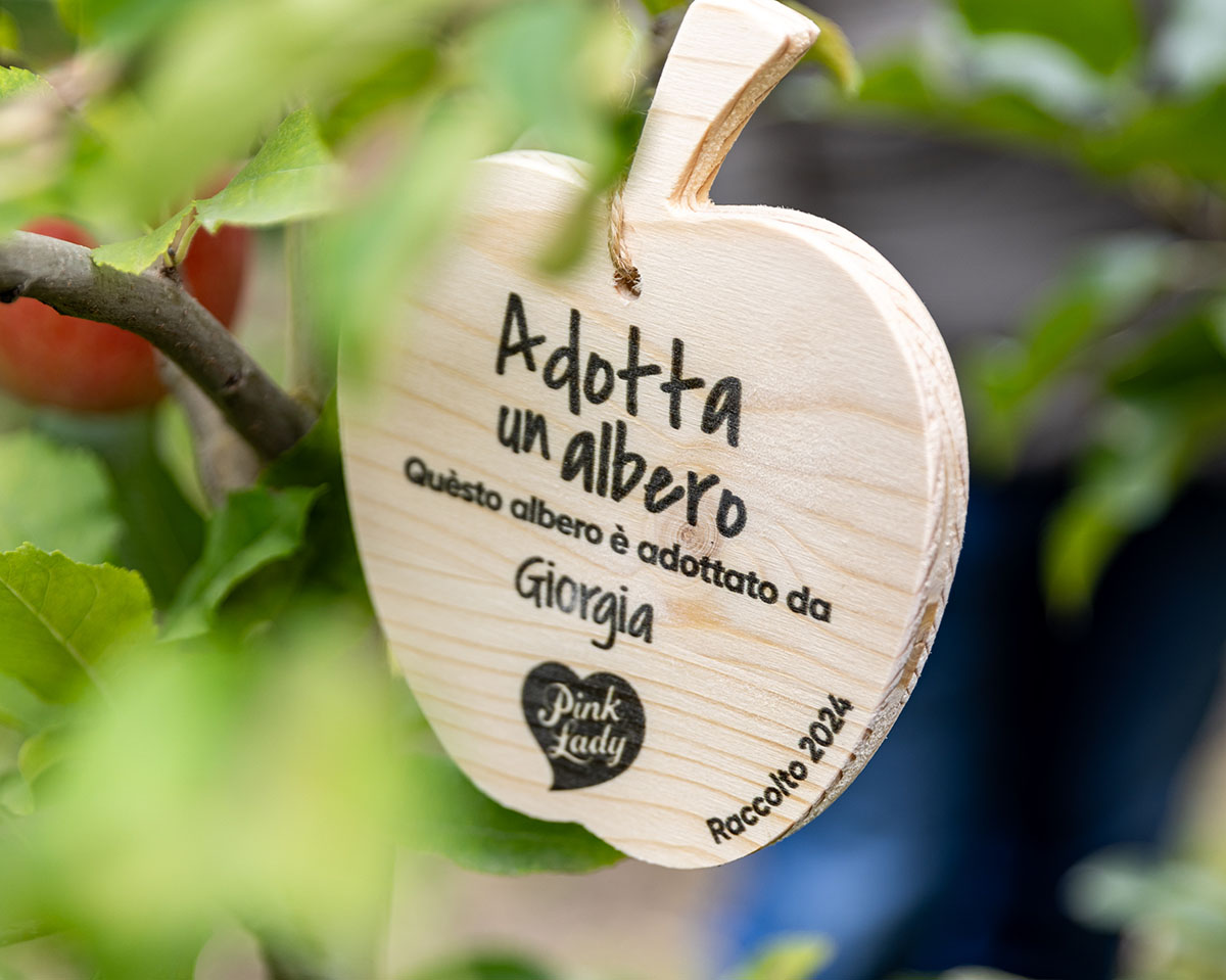 Pink Lady Adotta un Albero