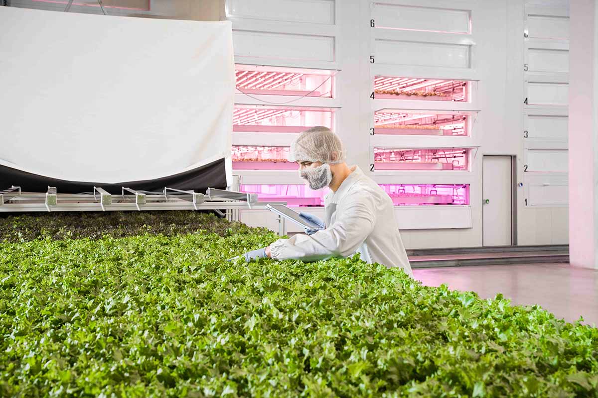 Agricola Moderna