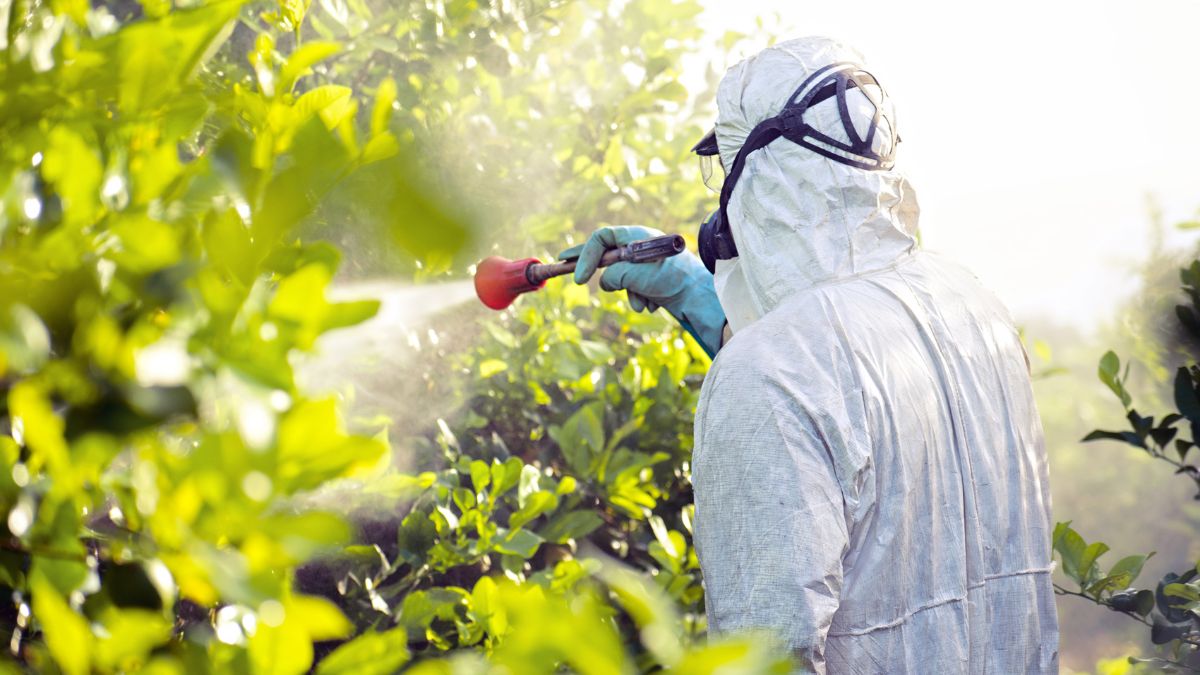 Pesticidi Legambiente dossier