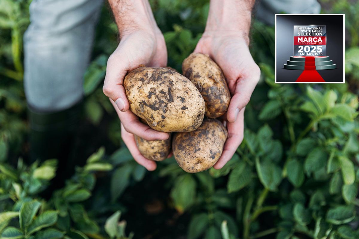 Ape-Giulietta-patate