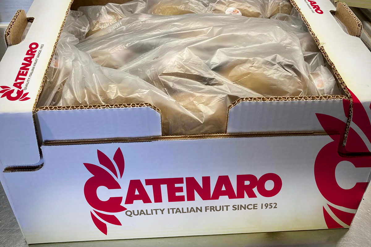 Catenaro_cassetta_kiwi