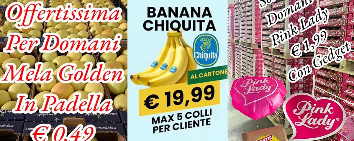 Ortofrutta-ingrosso-offerta