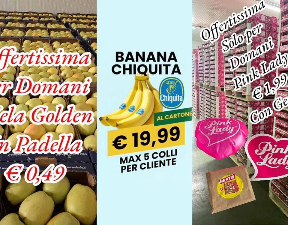 Ortofrutta-ingrosso-offerta
