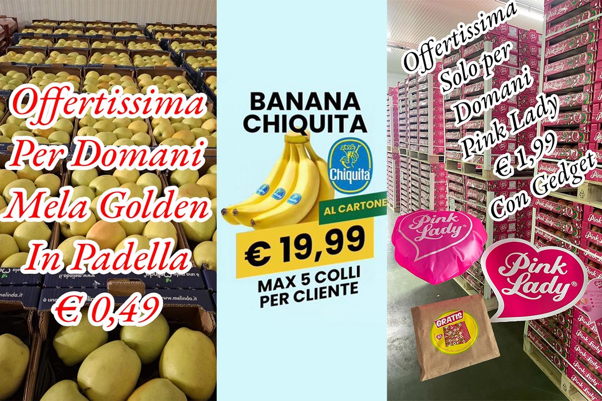 Ortofrutta-ingrosso-offerta