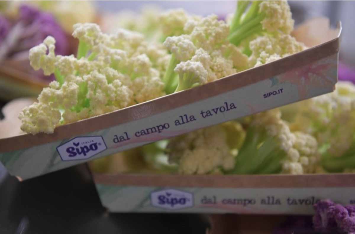 Sipo cavolfiore Fioretto