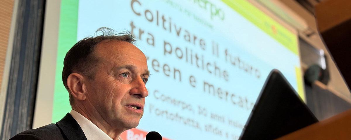 Apo-Conerpo_Vernocchi