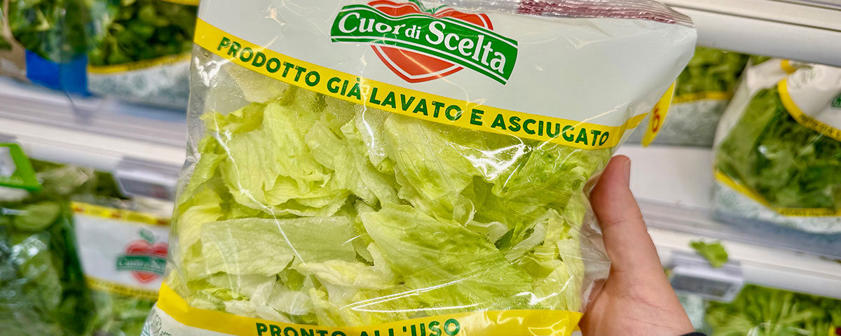 Maxi-Di-insalate-Cuor-di-Scelta-iceberg-copy-Fm