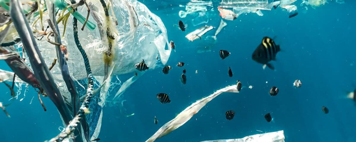 Microplastiche