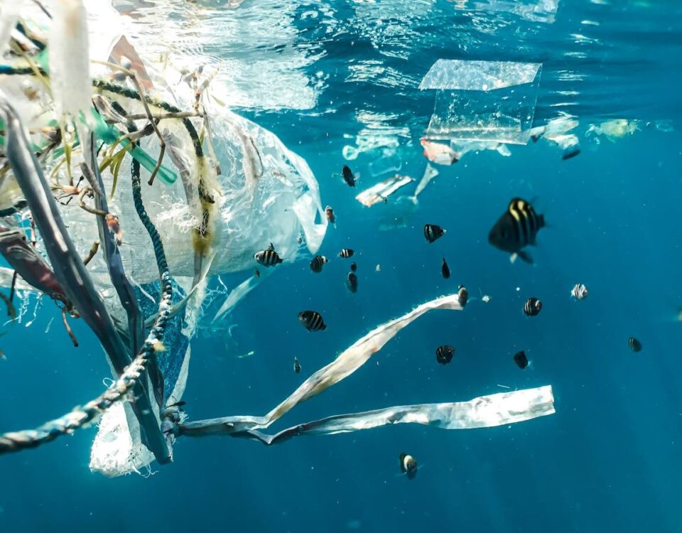 Microplastiche