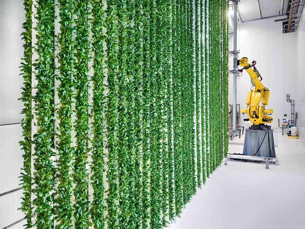 Plenty vertical farming