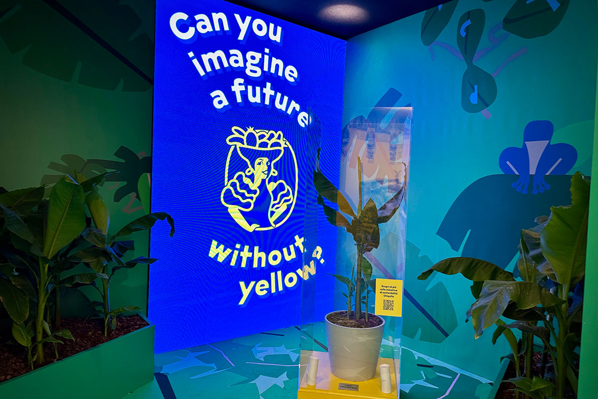 Chiquita-House-2025-Yelloway