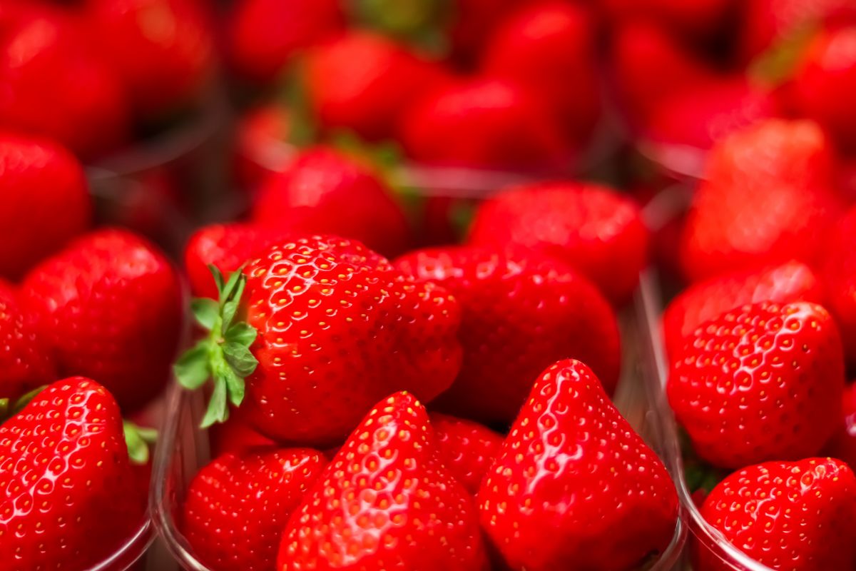 fragole fitofarmaci Il Salvagente