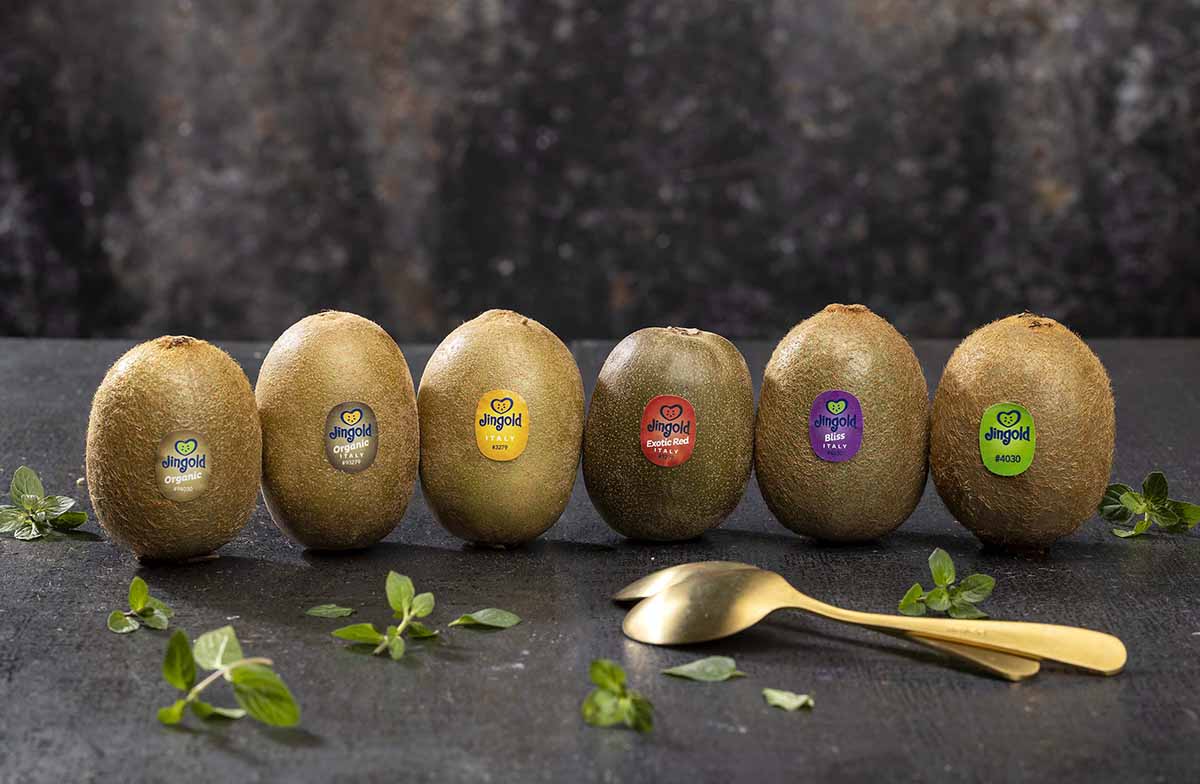 Jingold kiwi