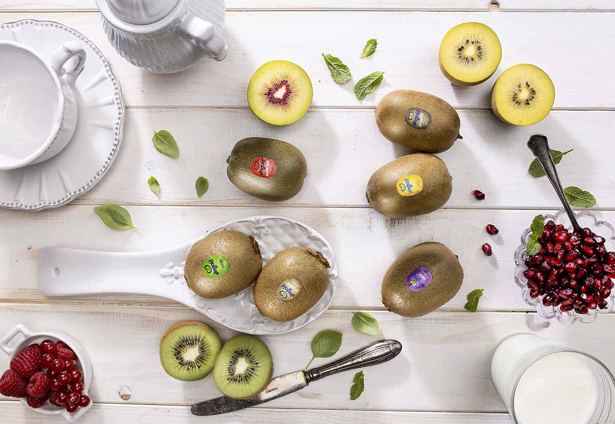 jingold-kiwi-3