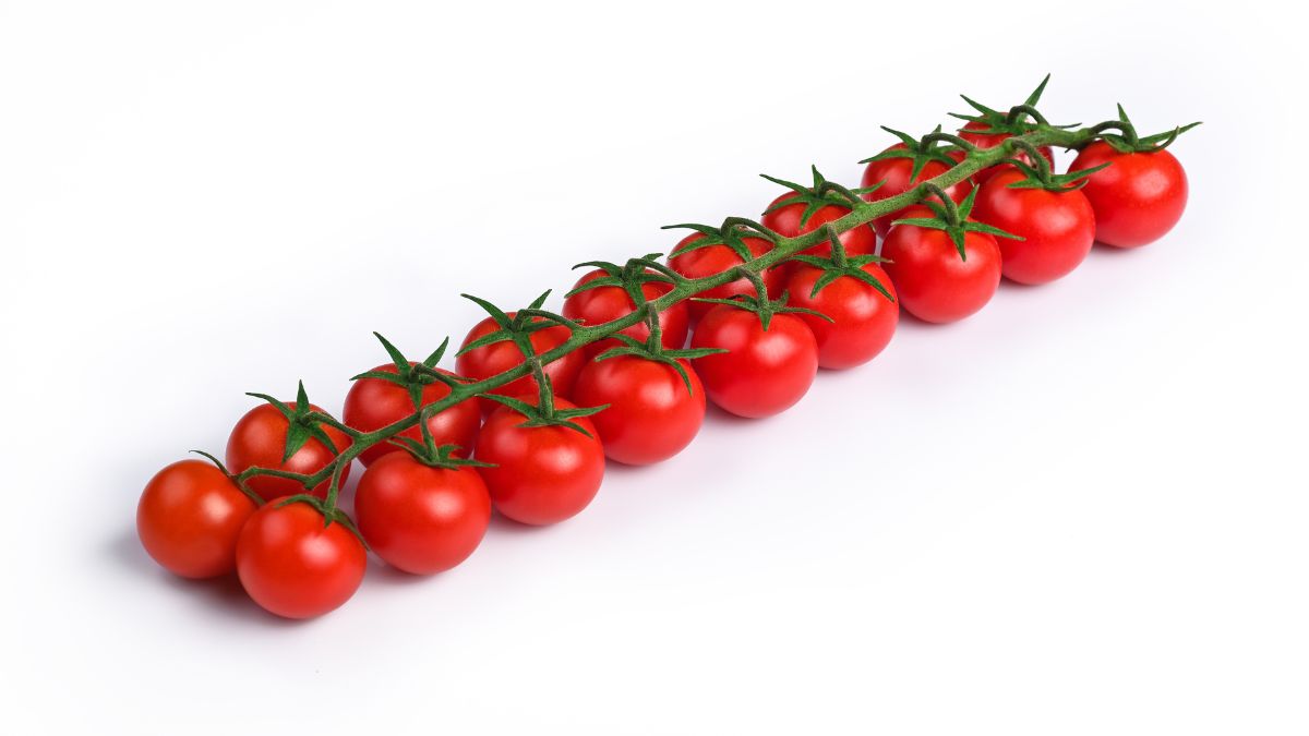 BASF | Nunhems pomodoro resistente al ToBRFV