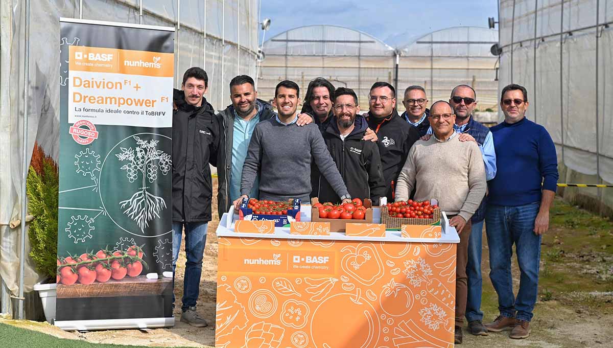 BASF | Nunhems pomodoro resistente al ToBRFV