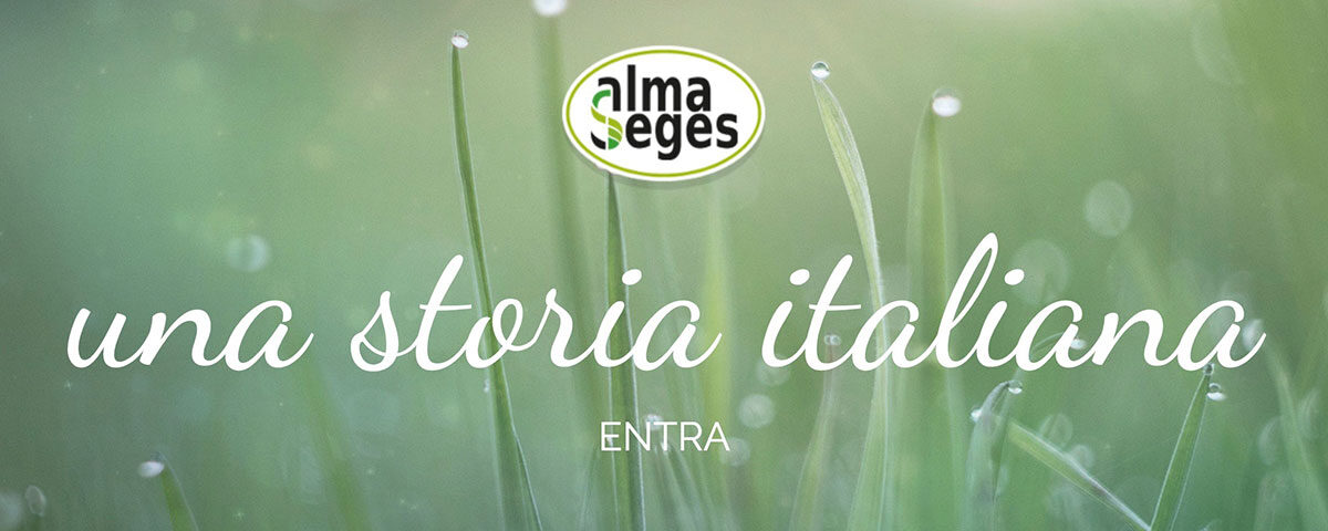 Alma_Seges