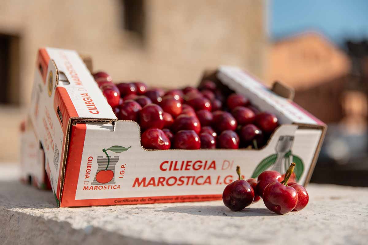 Ciliegia di Marostica Igp