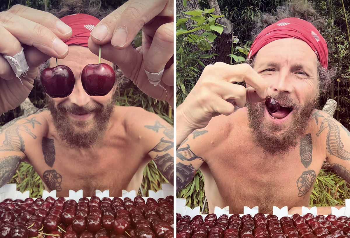 Ciliegia di Marostica Jovanotti