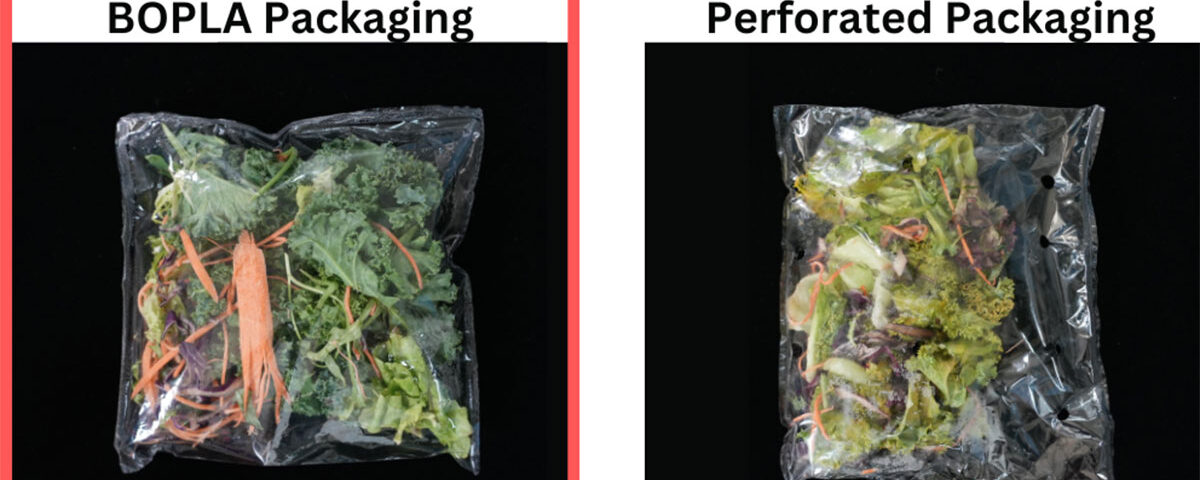 BOPLA_packaging_Salads