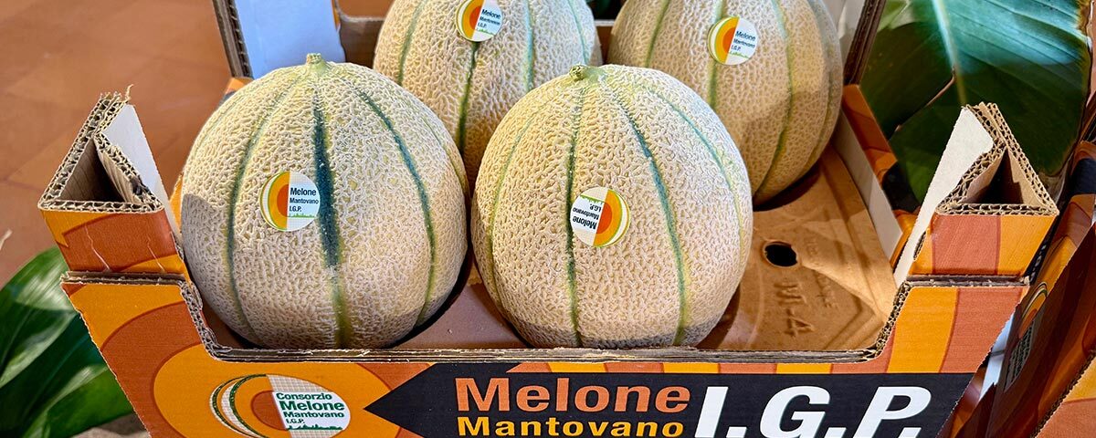 Melone_Mantovano_IGP-2025_copy_Fm