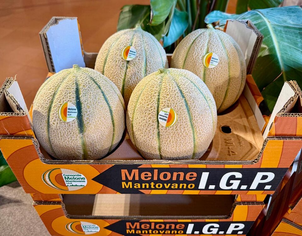 Melone_Mantovano_IGP-2025_copy_Fm