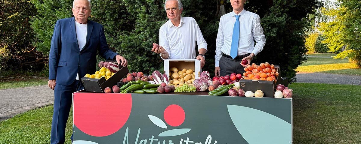 Naturitalia-Cera-Ferri-Renella-copy-Fm
