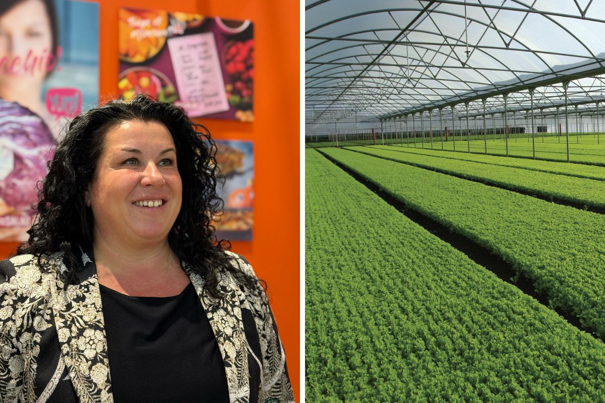'Insalata dell'Orto Cinzia Busana L'Insalata dell'Orto