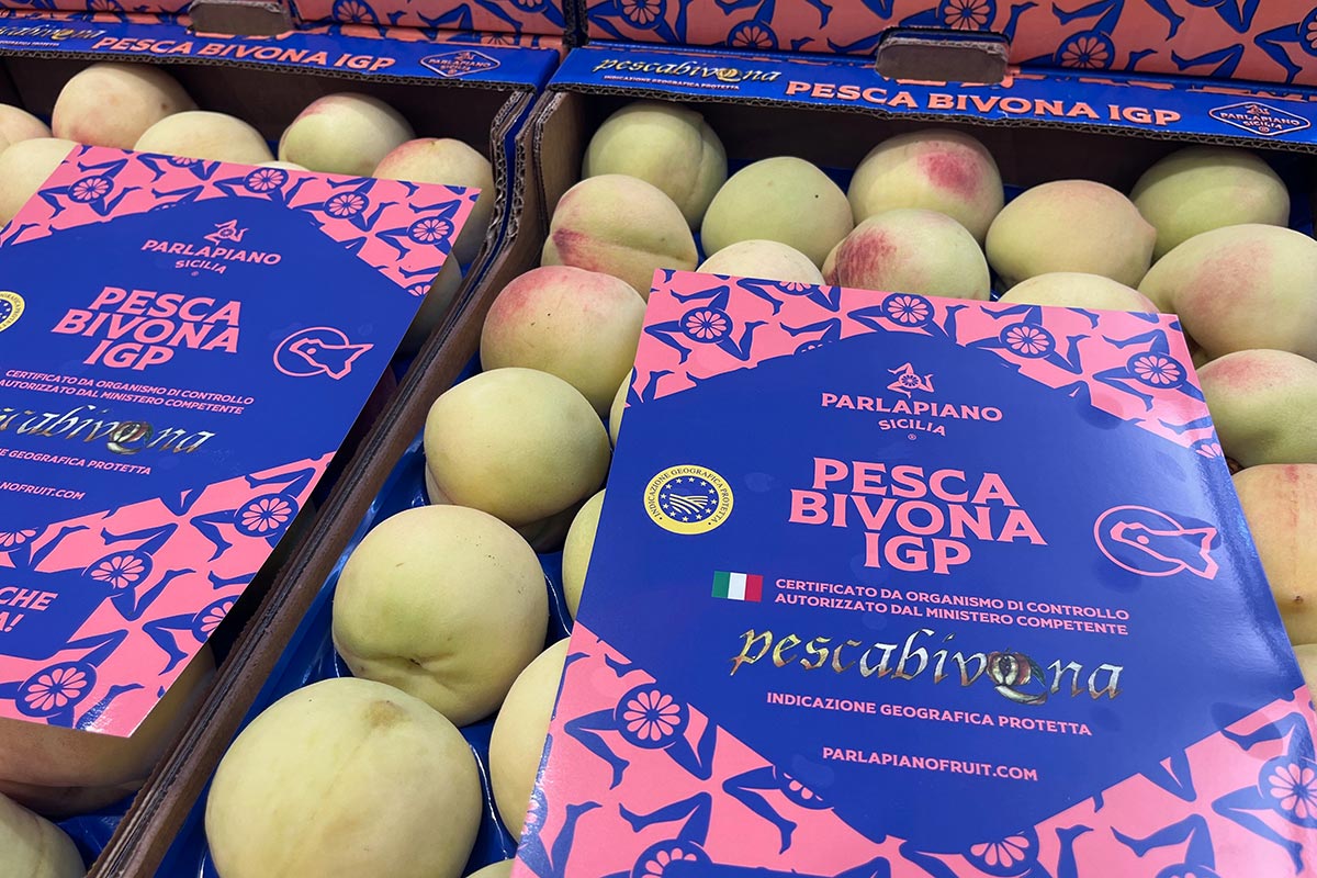 Pescabivona-IGP-2025